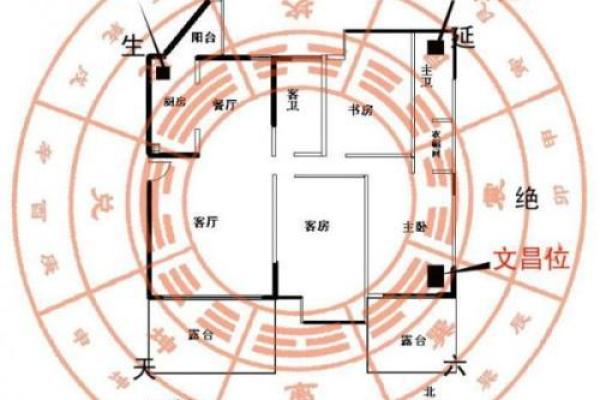 如何通过万年青摆放改善风水财位运势