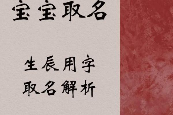 狗年男宝宝取名技巧与推荐方案
