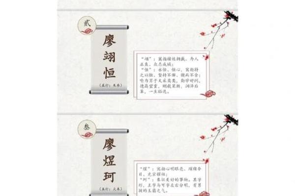 狗年男宝宝取名技巧与推荐方案