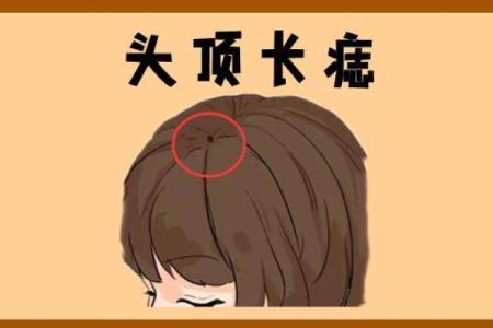如何理解凤凰命的命运特征