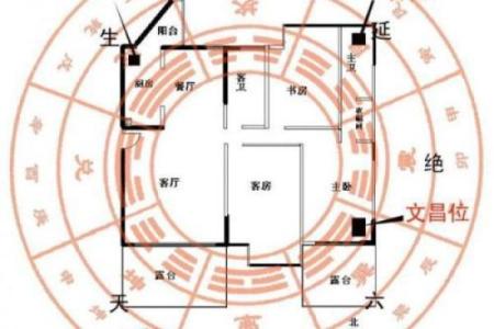 如何通过万年青摆放改善风水财位运势