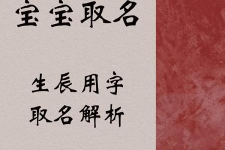 狗年男宝宝取名技巧与推荐方案