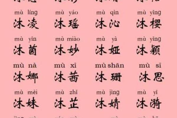 鸡年宝宝起名指南：如何挑选合适的名字