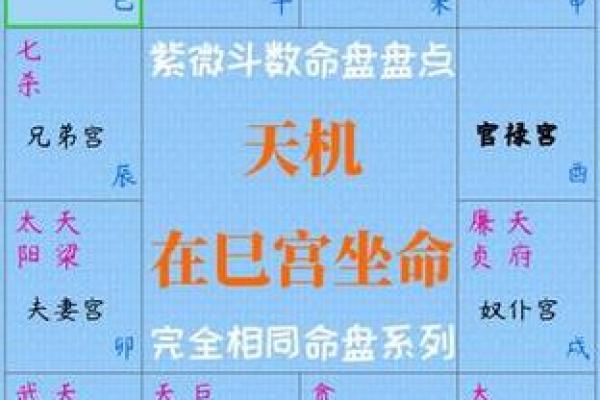 紫微斗数的命宫与家庭关系分析