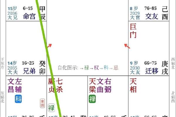 紫微斗数如何看一个人的婚姻幸福