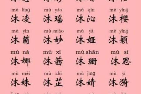 鸡年宝宝起名指南：如何挑选合适的名字