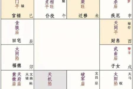 紫微斗数如何在婚姻中找到平衡
