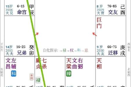 紫微斗数如何看一个人的婚姻幸福