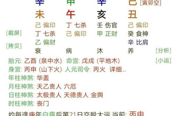 梅花易数排盘：解读元亨利贞的深层奥秘