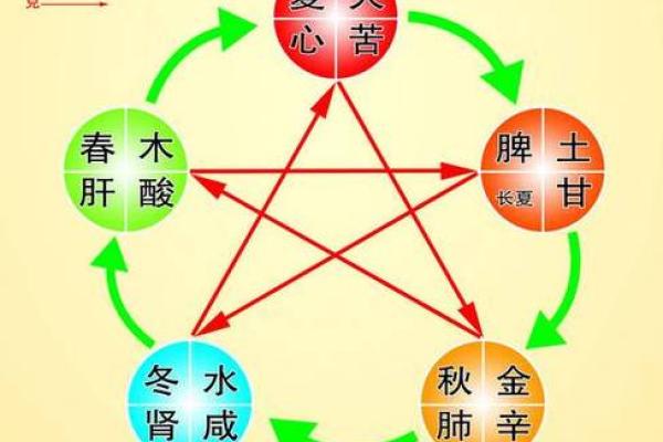飞五行的属性与解读解析