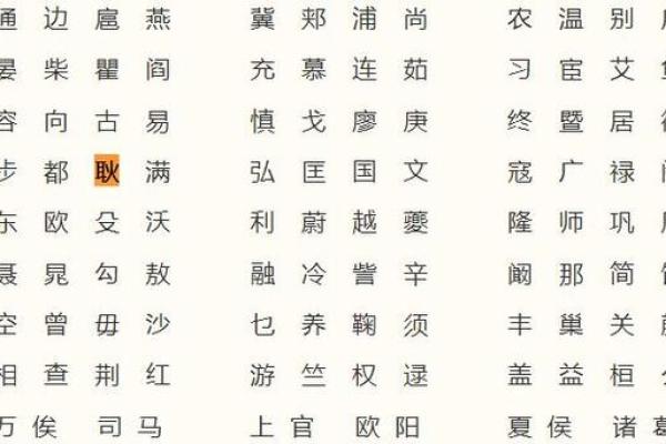 耿姓鸡宝宝起名宝典：如何为宝宝选择独特有寓意的名字