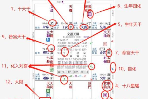 解析紫微斗数中的命盘结构与大运