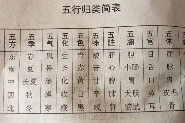 五行相生关系中如何通过木生水来调节能量平衡