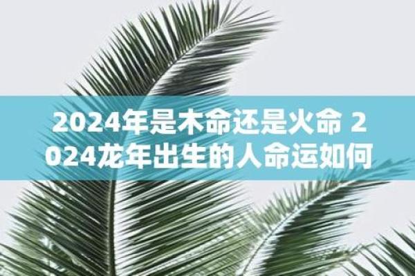 了解火命的最佳时辰，掌握命理的关键时机
