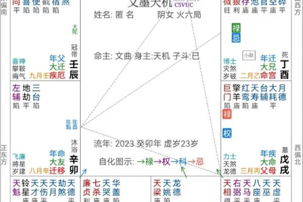 紫微斗数与人生大运的关系