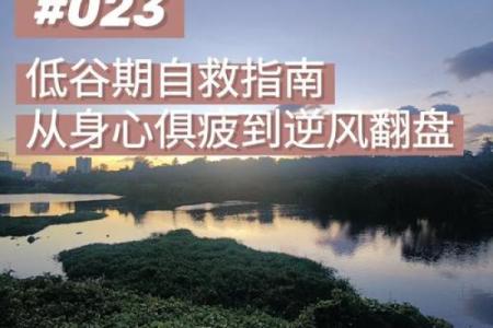 紫微斗数如何预测人生的高峰与低谷