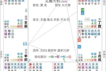 紫微斗数与人生大运的关系