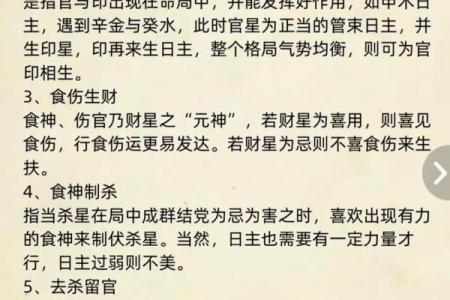 会字的五行属性解析与命理影响