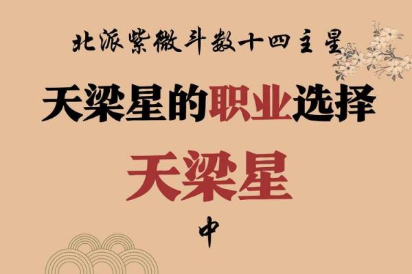 紫微斗数中的天梁星解析
