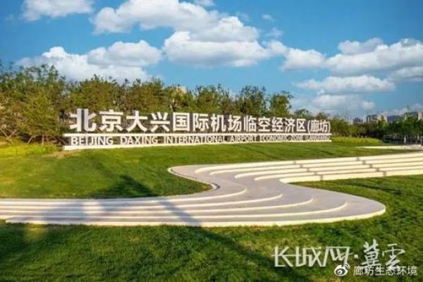 生态公司命名指南：如何打造与自然相呼应的品牌名称