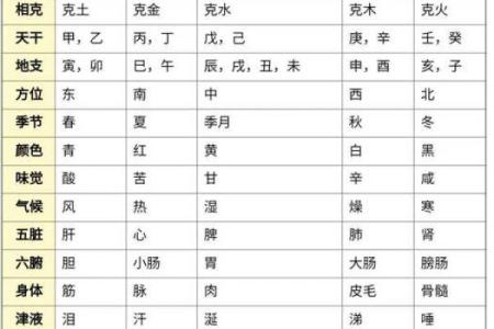 通过六爻占卜预测一年的运势