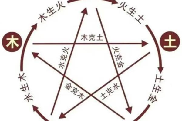 科字五行属性解析及其在命理中的意义