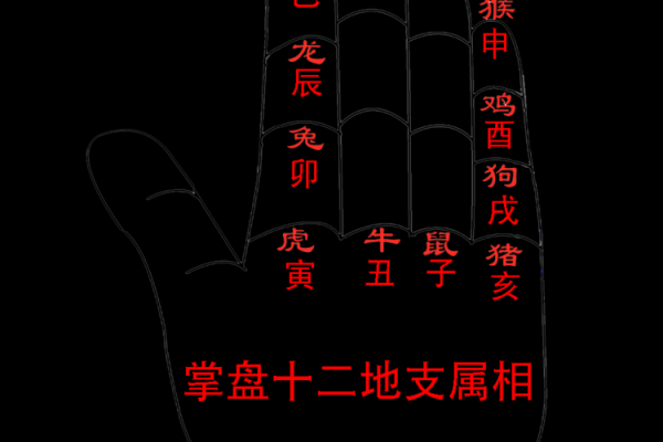 属相相冲会导致情感失衡吗