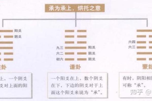六爻占卜中的阳爻与阴爻辨析