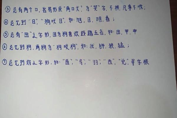 狗年出生的男孩起名技巧与推荐