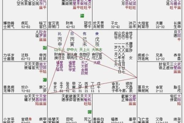 深入了解紫微排盘，解析个人命运图谱