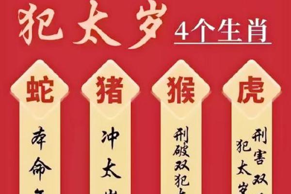 生肖冲煞与流年运势的相互关系