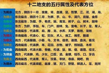 科字五行属性解析及其在命理中的意义