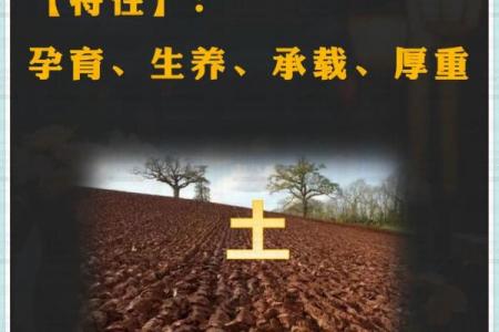 苏州五行属性解析及其对城市文化的影响