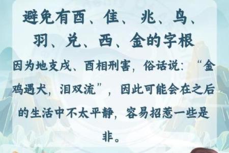狗年出生的男孩起名技巧与推荐