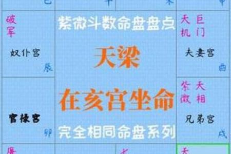 紫薇排盘如何解析婚姻命运与配偶选择