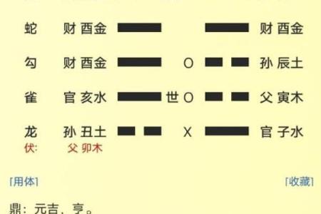 如何根据六爻占卜判断事业发展方向