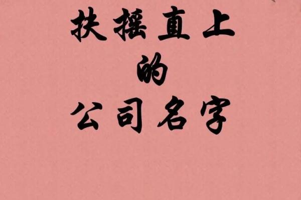 从公司起名库中挑选完美名称，助力品牌快速起步