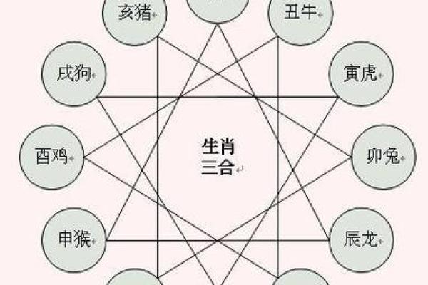 属相相冲与生命轨迹的深度关联