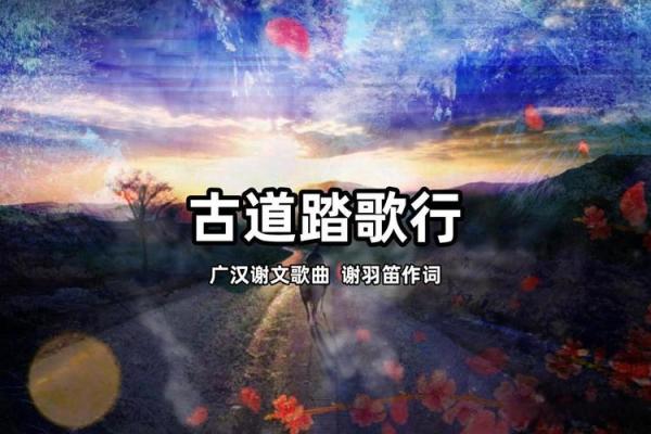 探索八字弓箭的神秘力量与历史传承