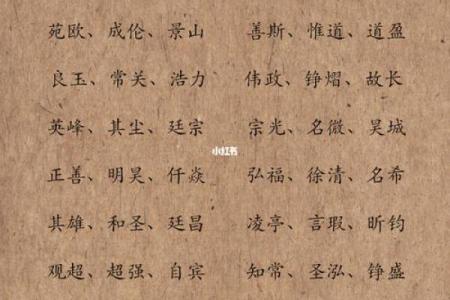 猴年男宝宝起名指南 让你的宝贝与众不同