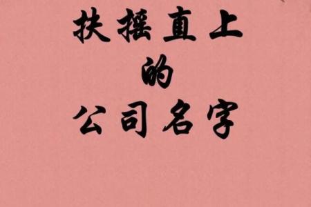 从公司起名库中挑选完美名称，助力品牌快速起步