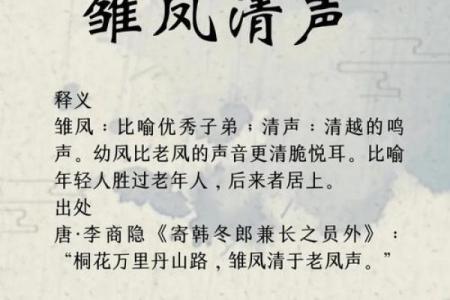 寓意深远的成语公司名称推荐与创意解析