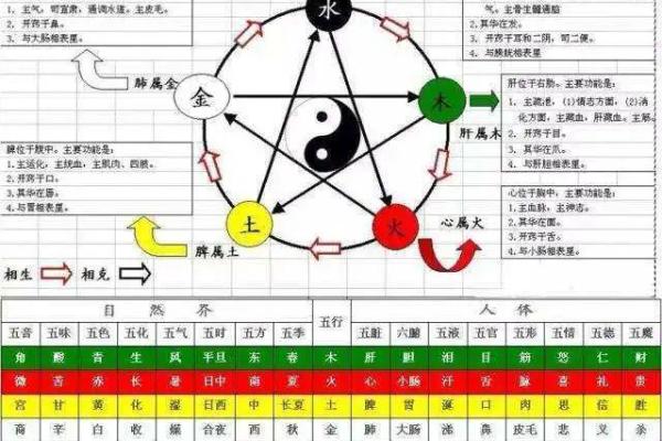 巳月天干如何影响人的命运走向