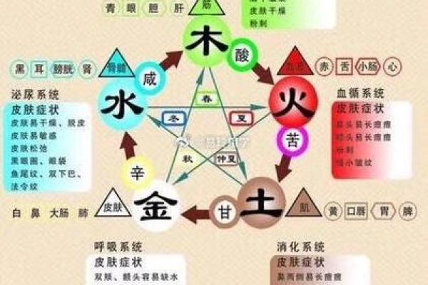 五行属性的基本概念与应用解析