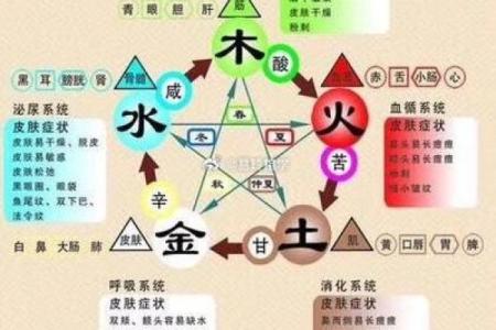 五行属性的基本概念与应用解析