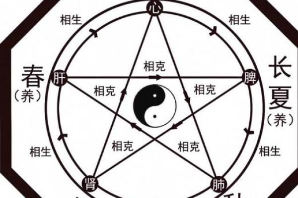 思五行属性解析及其在命理中的意义