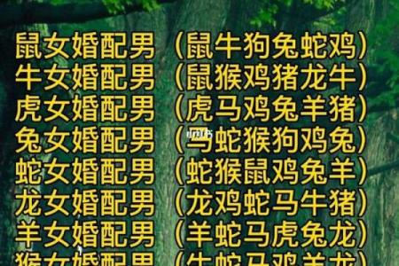 生辰五行解析：如何通过八字找到适合的事业和婚姻