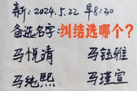 鸡年马姓宝宝如何挑选合适名字