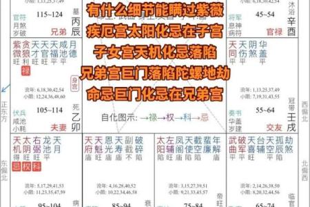 紫微斗数中的紫微星解析