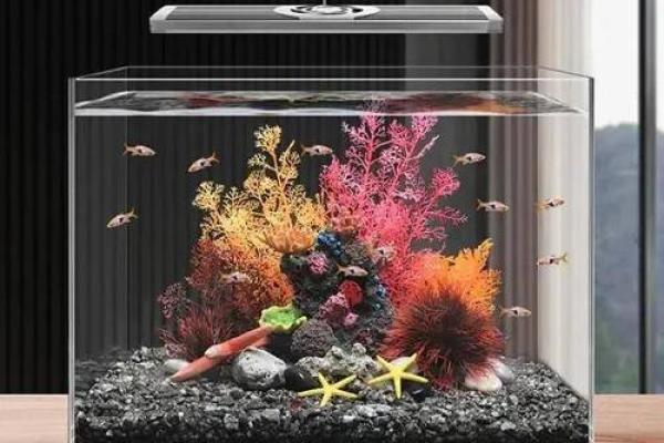家居风水中的水池与鱼缸摆放禁忌